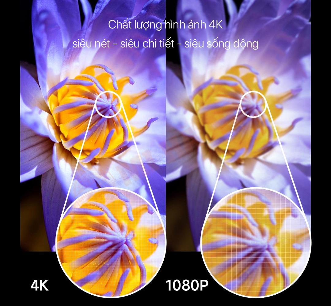 Độ phân giải 4K với 3840×2160 pixel mang tới hình ảnh sống động, sắc nét